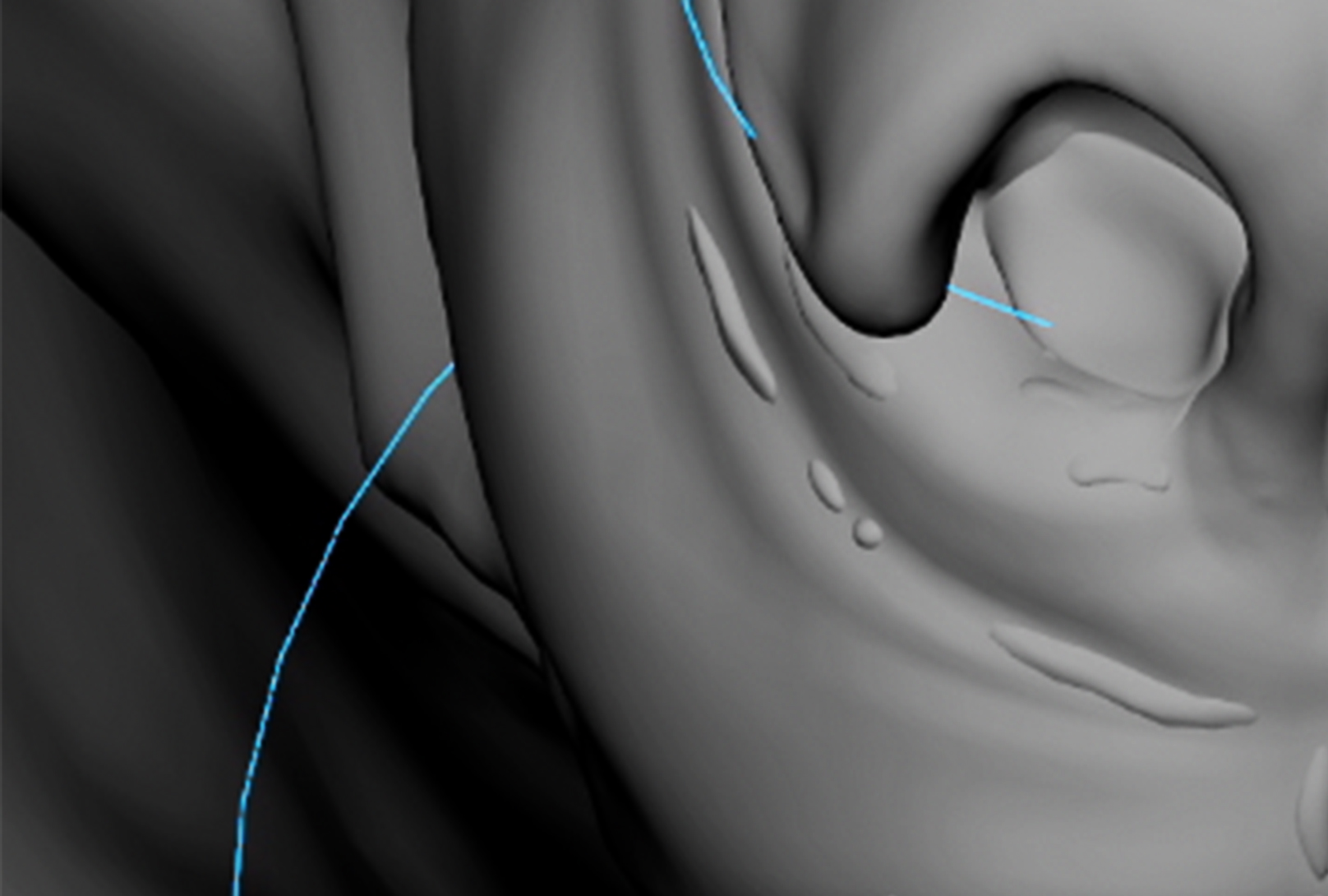 CloseUp_01