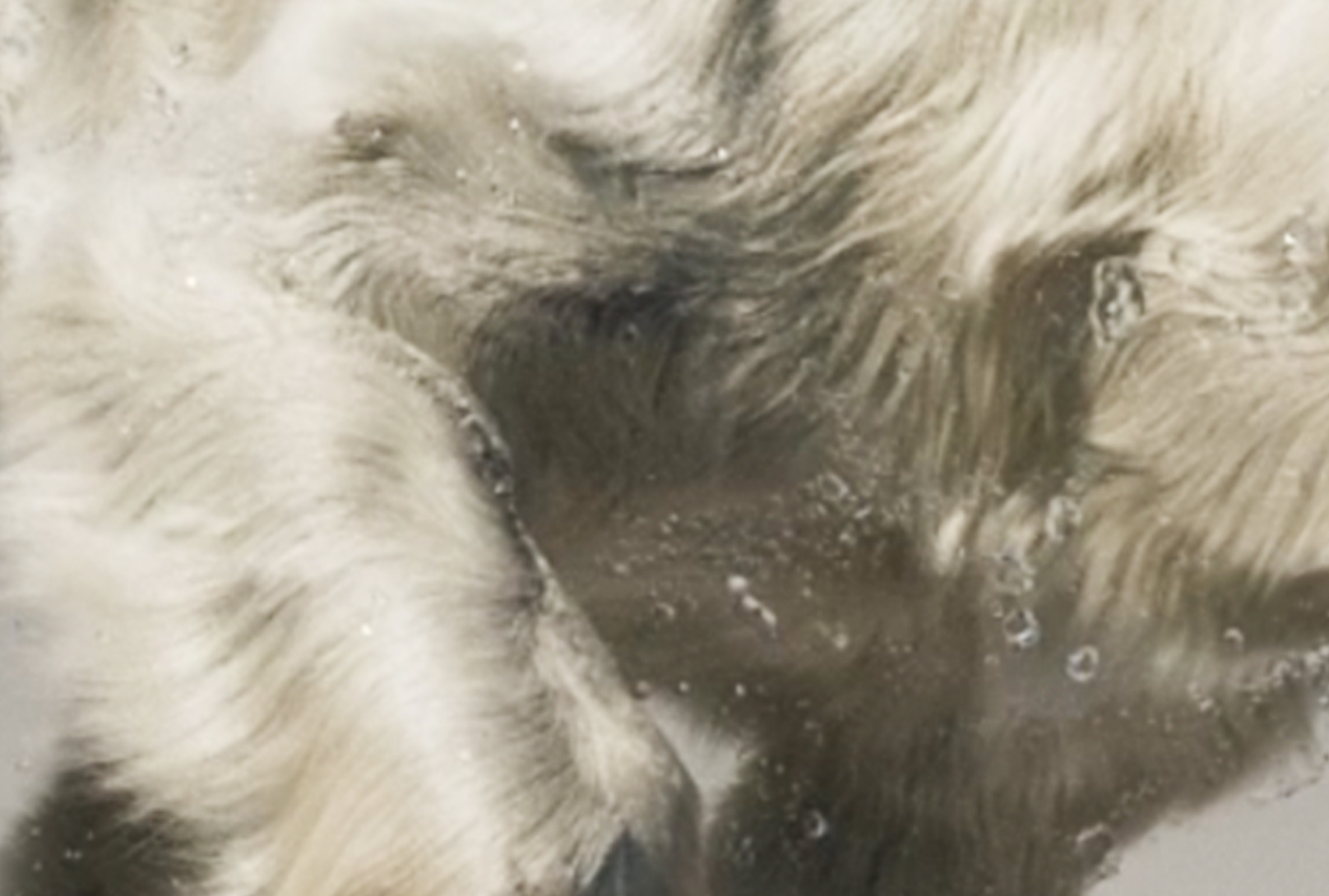 CloseUp_02