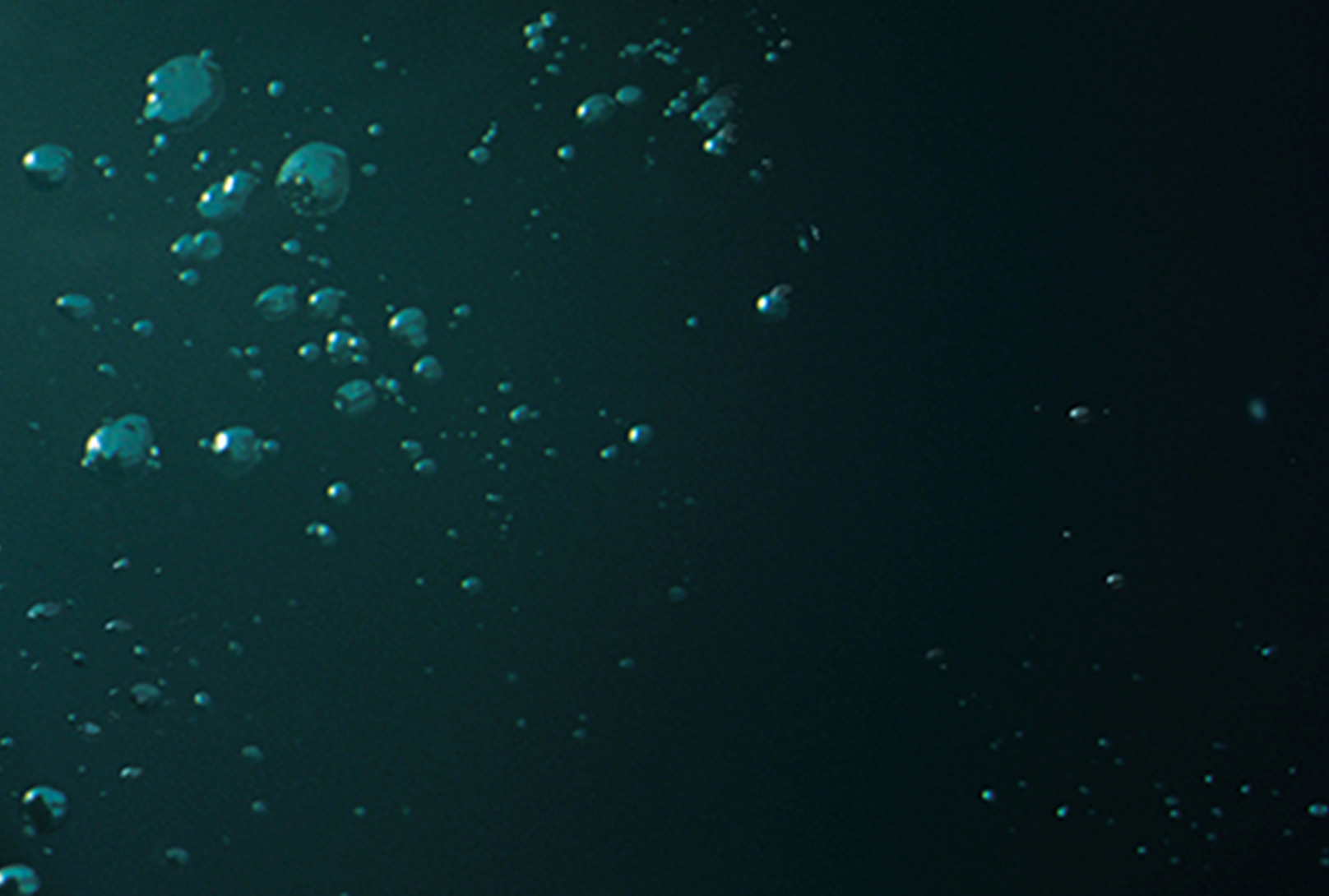 CloseUp_07